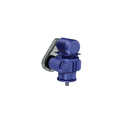 震威W型圆孤齿圆柱蜗杆