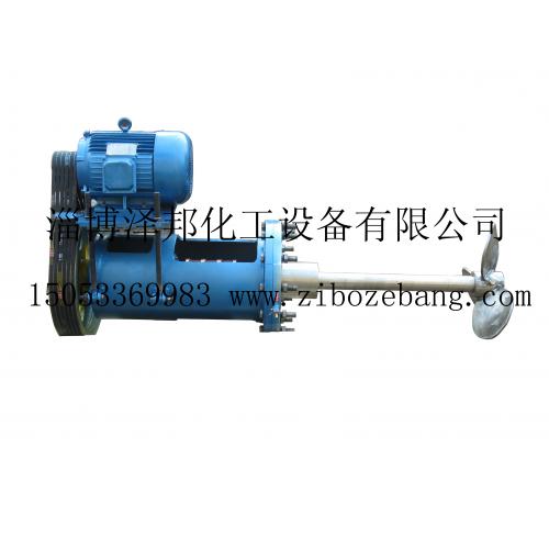 PCJ皮带减速机侧搅拌器