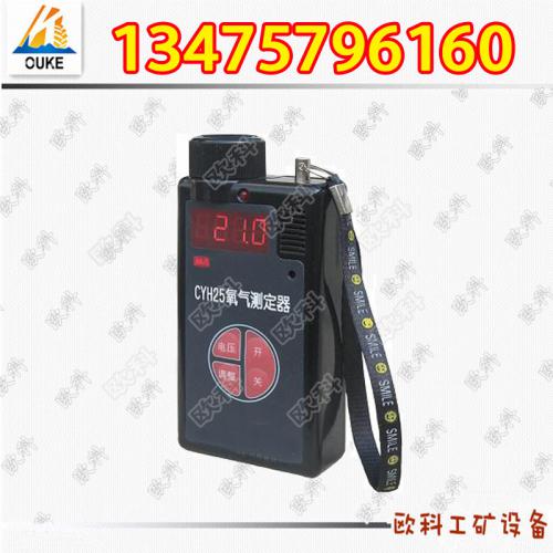 氧气测定器 CYH25氧气测定器