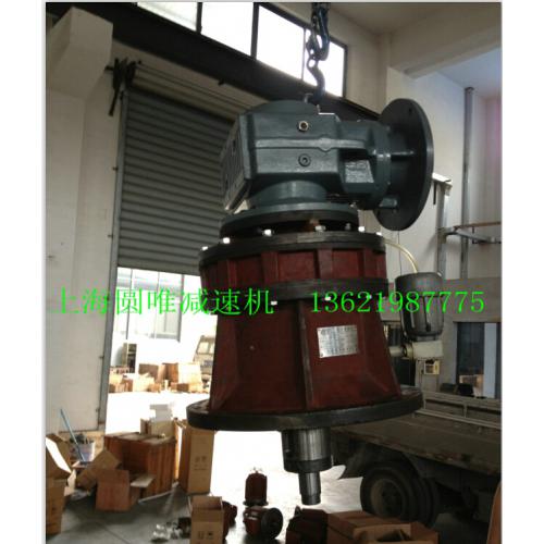 悬臂式双螺旋搅拌机专用同轴式双输出减速机