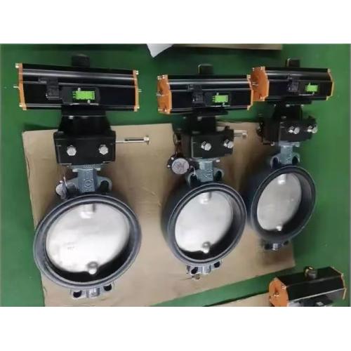 原装正品直销德国EBRO依博罗气动蝶阀DN40-DN500